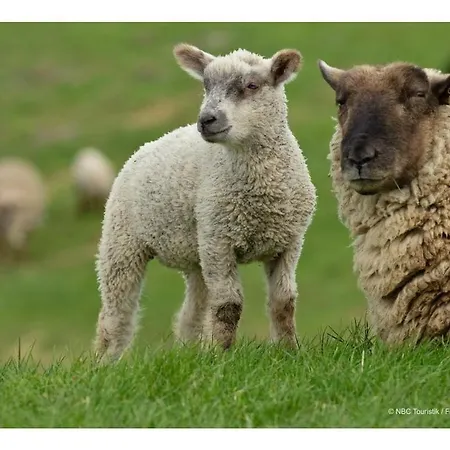 With 3 Bedrooms Apartamento